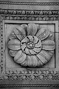 Wall_Art_Alphabet_Photography_Art_ 1693